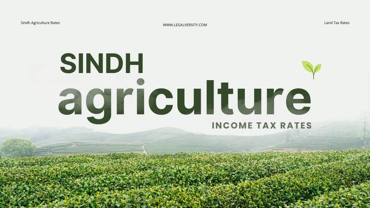 Income Tax Rates on Agricultural Income In Sindh