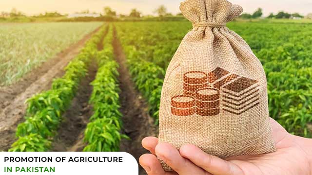 How to Promote Agriculture Section in Pakistan